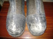 DSC07245.jpg