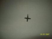 100_4473.jpg