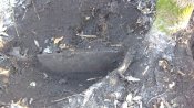 IMG_20161123_084548.jpg