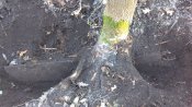 IMG_20161123_084556.jpg