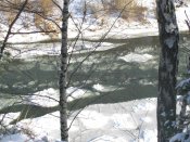 IMG_2215[1].JPG