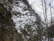 IMG_2228[1].JPG