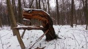 IMG_20161217_145111.jpg