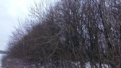 IMG_20161217_150714.jpg