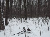 DSCF7235.JPG