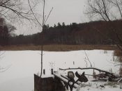 DSCF7239.JPG