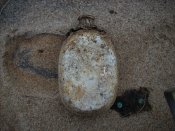 DSCN1438.jpg