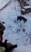 IMG_20161217_103009.jpg