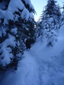 DSC00453.jpg