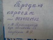 IMG_20161124_130611.jpg
