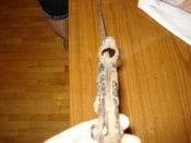 DSC00175.JPG