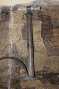 IMG_1201.jpg