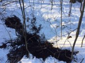 IMG_1061.JPG