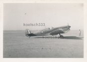 Afrika Korps DAK 1942.JPG