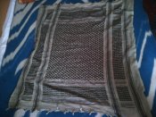 IMG_20130413_121946.jpg