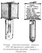 pic-07-2.jpg