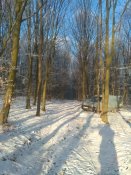 IMG_20161222_092620.jpg