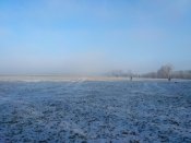 IMG_20161222_120156.jpg