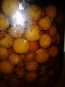 20161222_224211.jpg