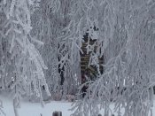 IMG_1074.JPG