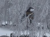 IMG_1070.JPG