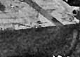 br2.jpg