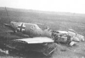 ostermann4_gr.jpg
