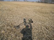 IMG_0001.JPG