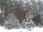 20161225_111434.jpg