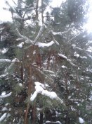 20161225_111518.jpg