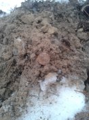 20161225_084145.jpg