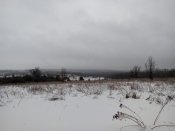 IMG_2016-12-25_135629.jpg