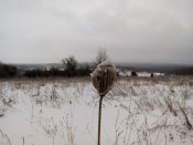 IMG_2016-12-25_135721.jpg