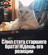 untitled2.png