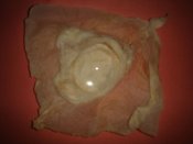 DSC07872.JPG
