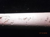 PC275522.JPG