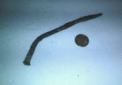 20161127_005820.jpg