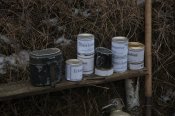DSC_7079.jpg