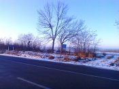 20161226-0003.jpeg