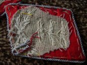 DSC07308.jpg