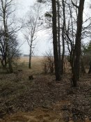 20160407_163852.jpg