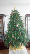 IMG_20161226_095752.jpg