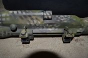 Ljizfs-rk78.jpg