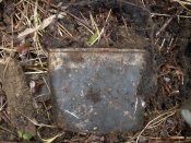 DSCN1454.jpg