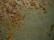 IMG_0887.JPG
