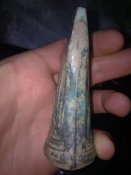17102011096.jpg