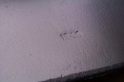 IMAG0856.jpg