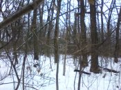 IMG_20170102_150750.jpg