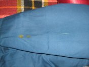 IMG_3377.jpg