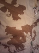 20170107_045011.jpg